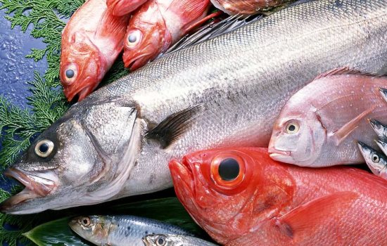 Морская рыба: польза и положительное воздействие на организм. В каких случаях морская рыба наносит вред здоровью?