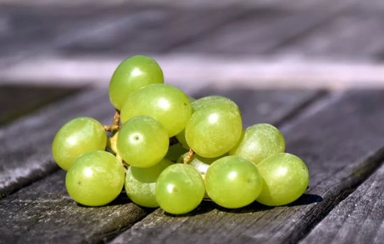 Зеленый виноград: польза и вред для здоровья. Как употреблять зелёный виноград с пользой и не допустить вреда