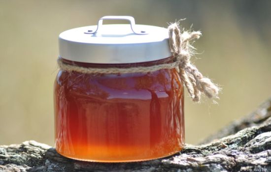 Полезная и вкусная зимняя сладость — гречишный мёд. Что известно в диетологии о пользе и вреде гречишного меда