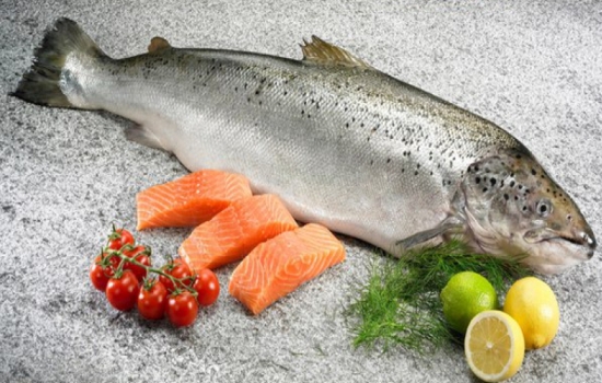 Драгоценный лосось — польза и состав, ценность красной рыбы. Может ли быть вред от лосося на повседневном столе