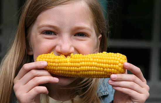 Польза вареной кукурузы: можно ли её худеющим? Какой состав имеет продукт и может ли варёная кукуруза нанести вред организму