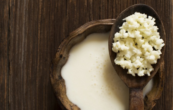 Что известно о пользе молочного гриба для общего здоровья и похудения. Как приготовить из него кефир и есть ли вред в молочном грибе
