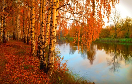 К чему снится осень: ранняя или поздняя, красивая или ужасная? Основные толкования разных сонников - к чему снится осень