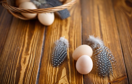 Что можно рассказать о пользе яиц цесарки. Когда важно добавить их в меню и могут ли принести вред эти яйца?