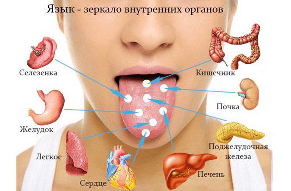 Какие болезни можно выявить по внешнему виду своего языка
