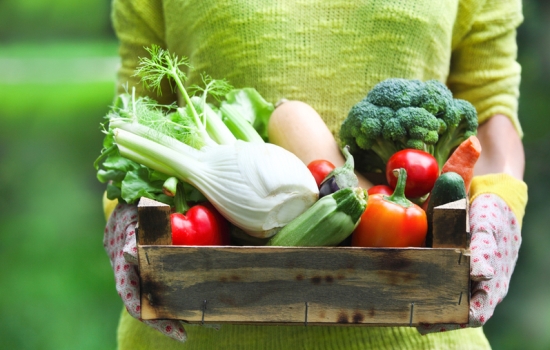 Овощная диета – продукты доступные, результат достойный. Как правильно худеть на овощах: варианты меню